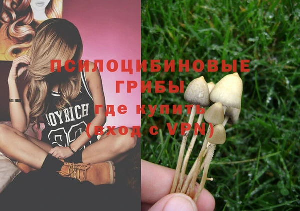 ГАЛЛЮЦИНОГЕННЫЕ ГРИБЫ Алексин