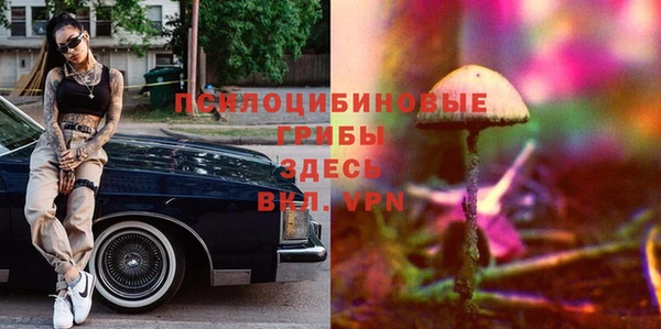ГАЛЛЮЦИНОГЕННЫЕ ГРИБЫ Алексин