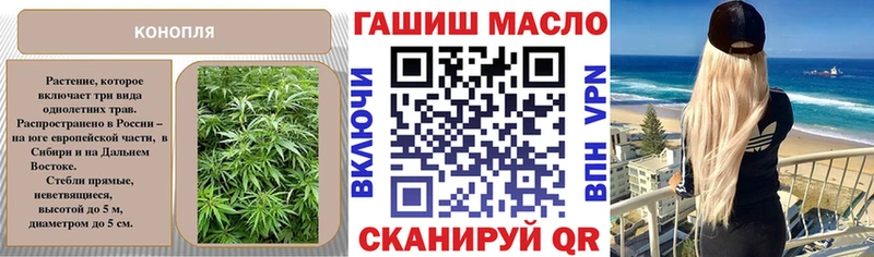 закладки Холм ТГК концентрат